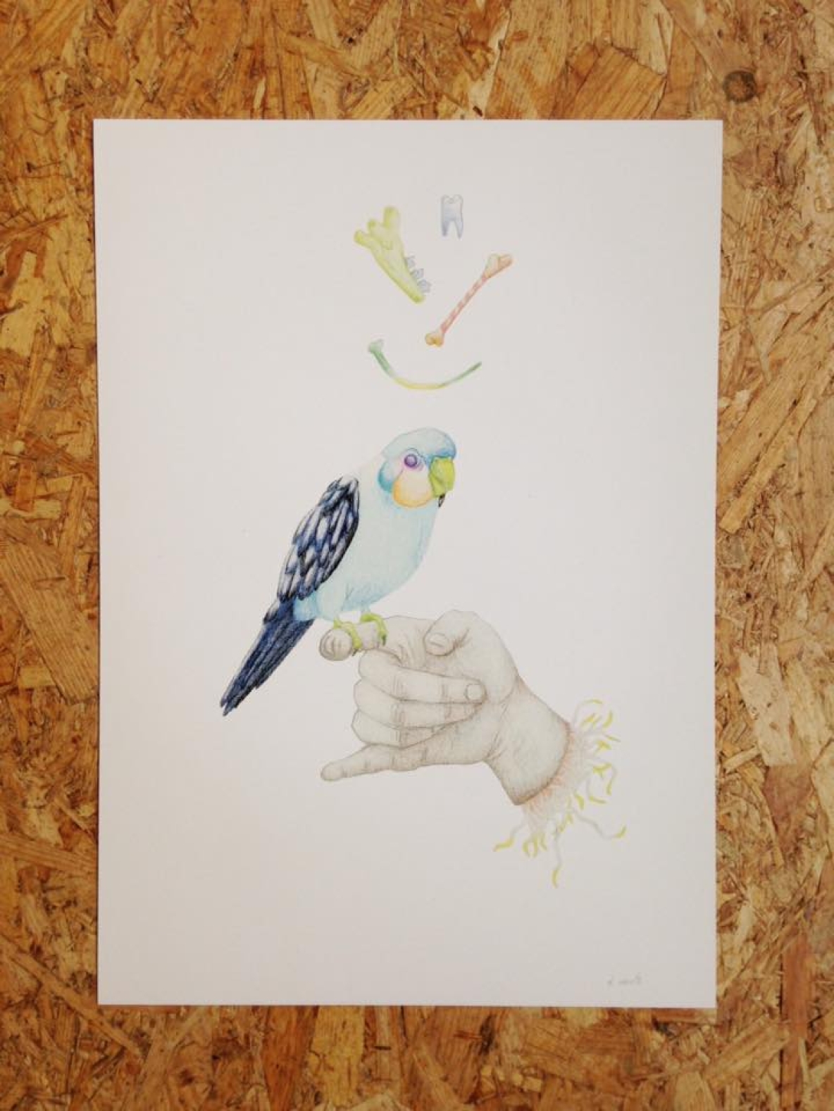 Delphine Vaute_1